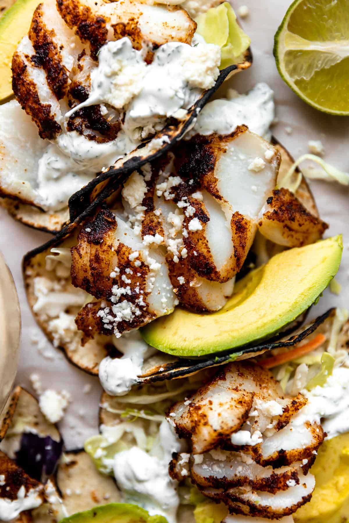 Grilled fish tacos on charred corn tortillas served with avocado slices and cilantro crema drizzled on top.