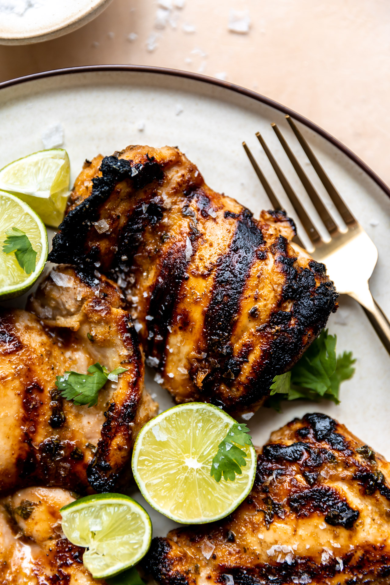 Grilled chicken on a white plate.
