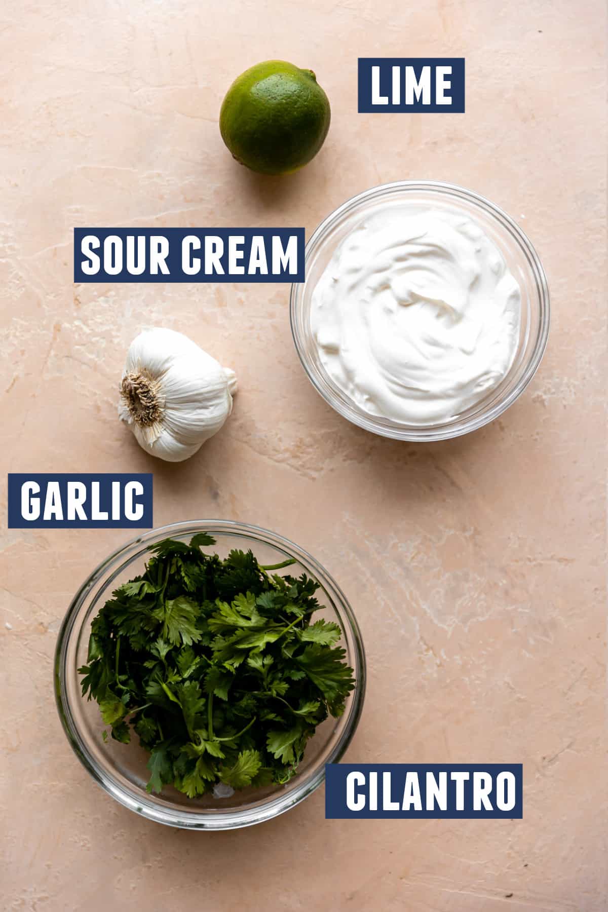 Bowl of sour cream, bowl of fresh cilantro, a bulb of garlic and a lime.