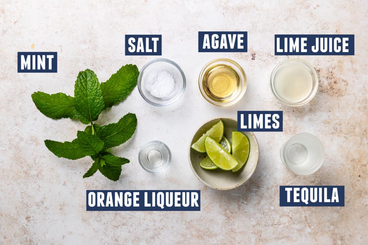 Ingredients needed for a mint margarita laid on the counter. 