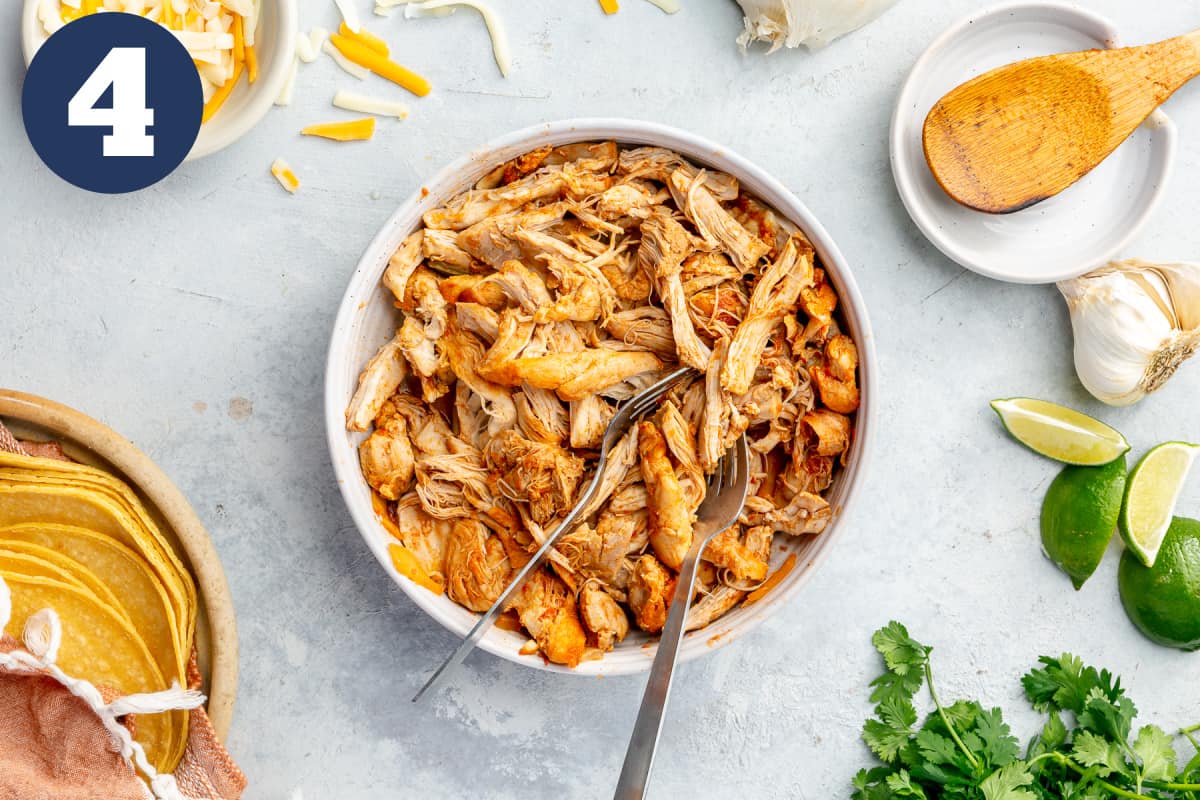 Plate with shredded chicken. 