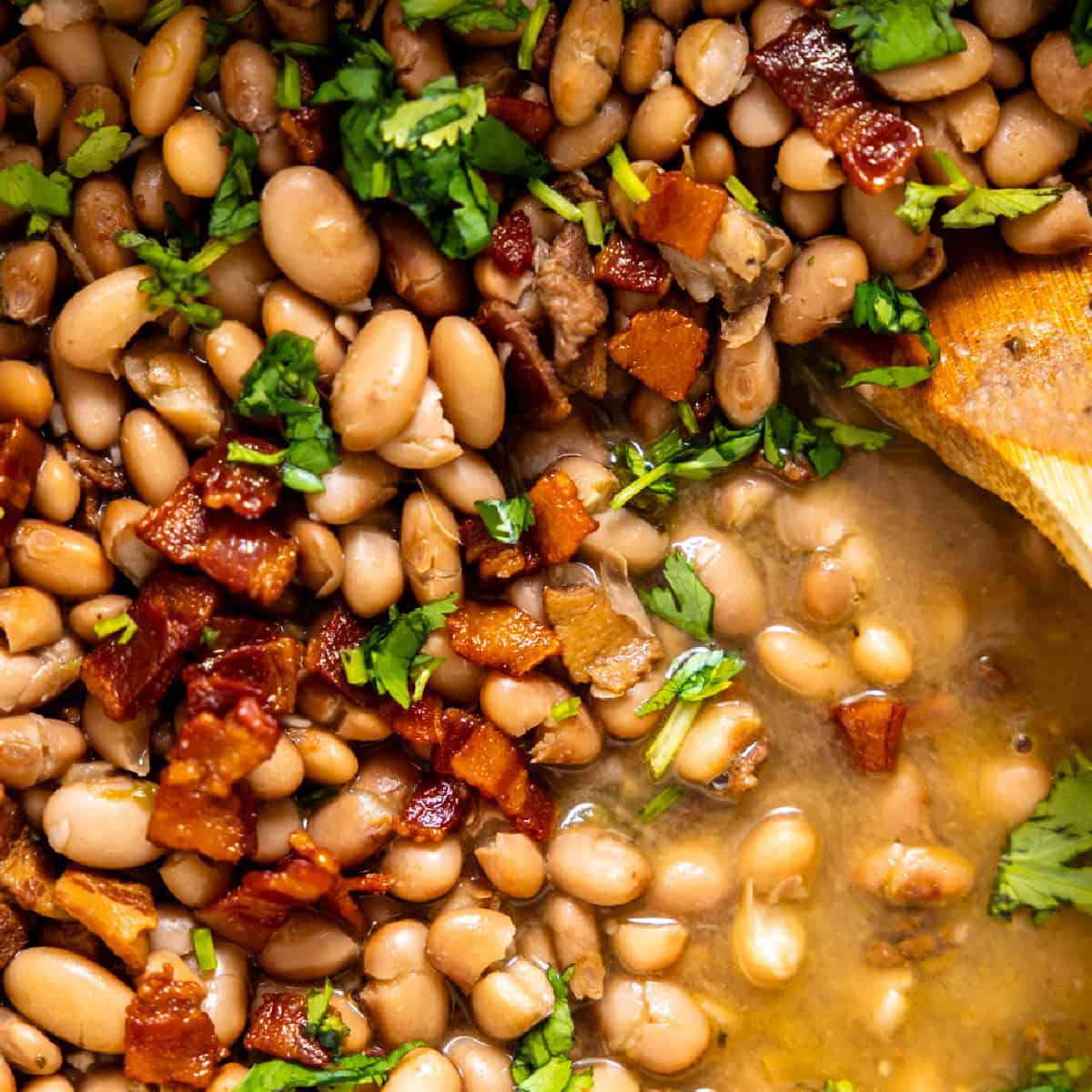 Cooked pinto beans with bacon and cilantro.