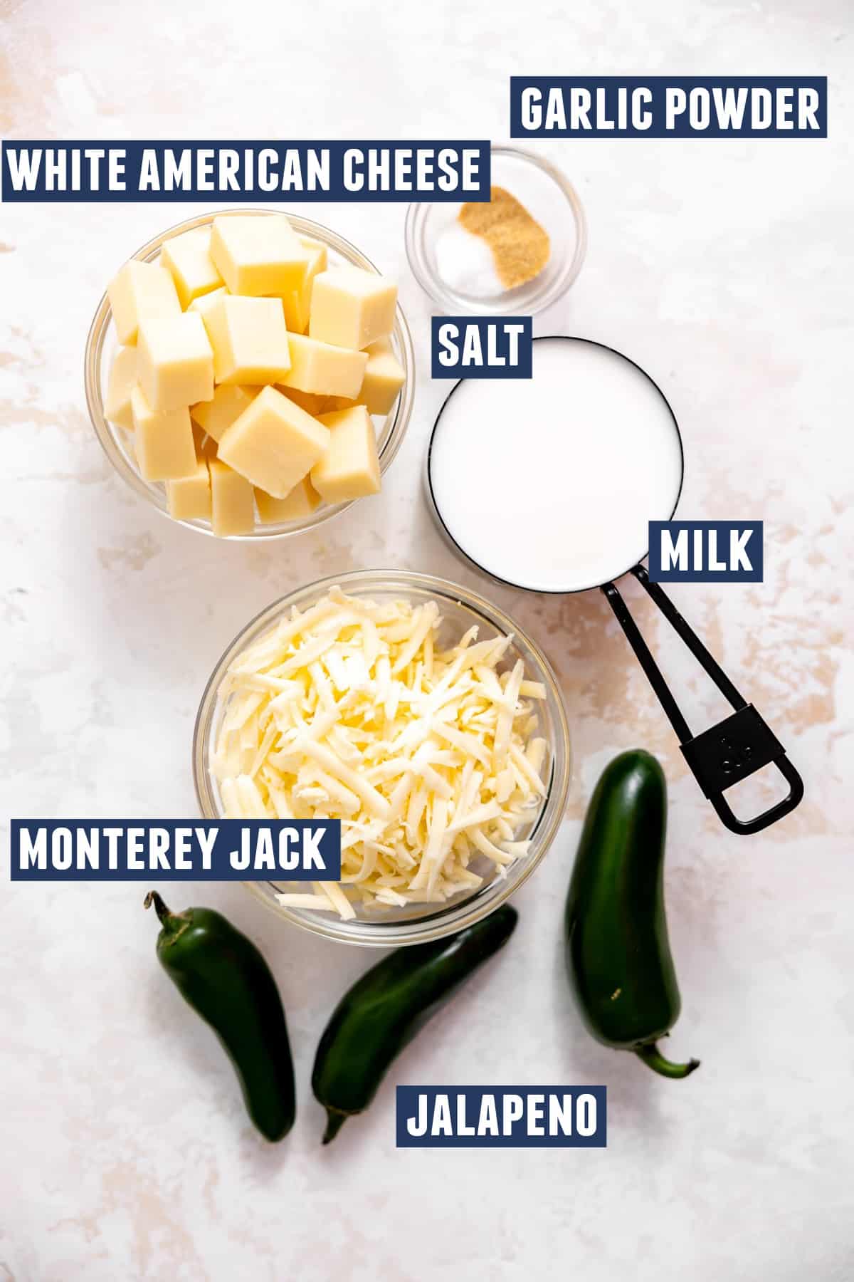 Ingredients needed to make white queso. 