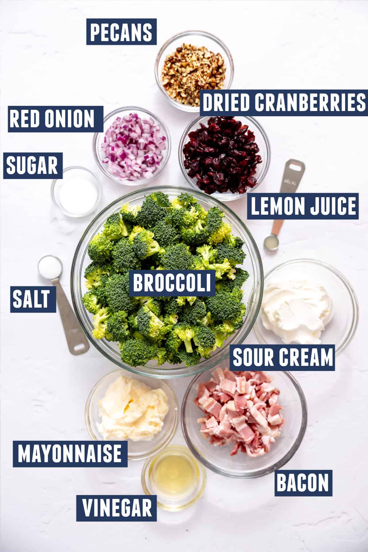 Ingredients needed to make broccoli salad.