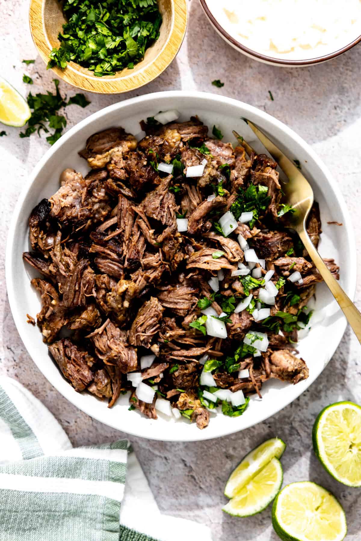 Bowl of barbacoa topped with cilantro and onion.