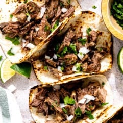 Barbacoa tacos lined up.