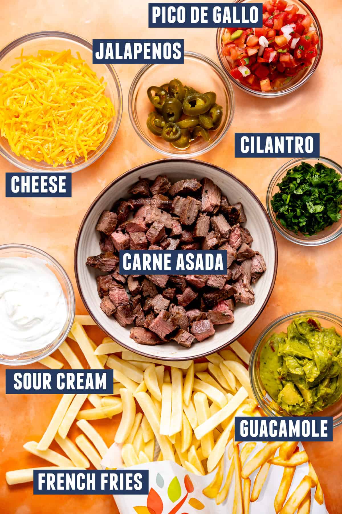 Carne Asada French fries ingredients laid out. 