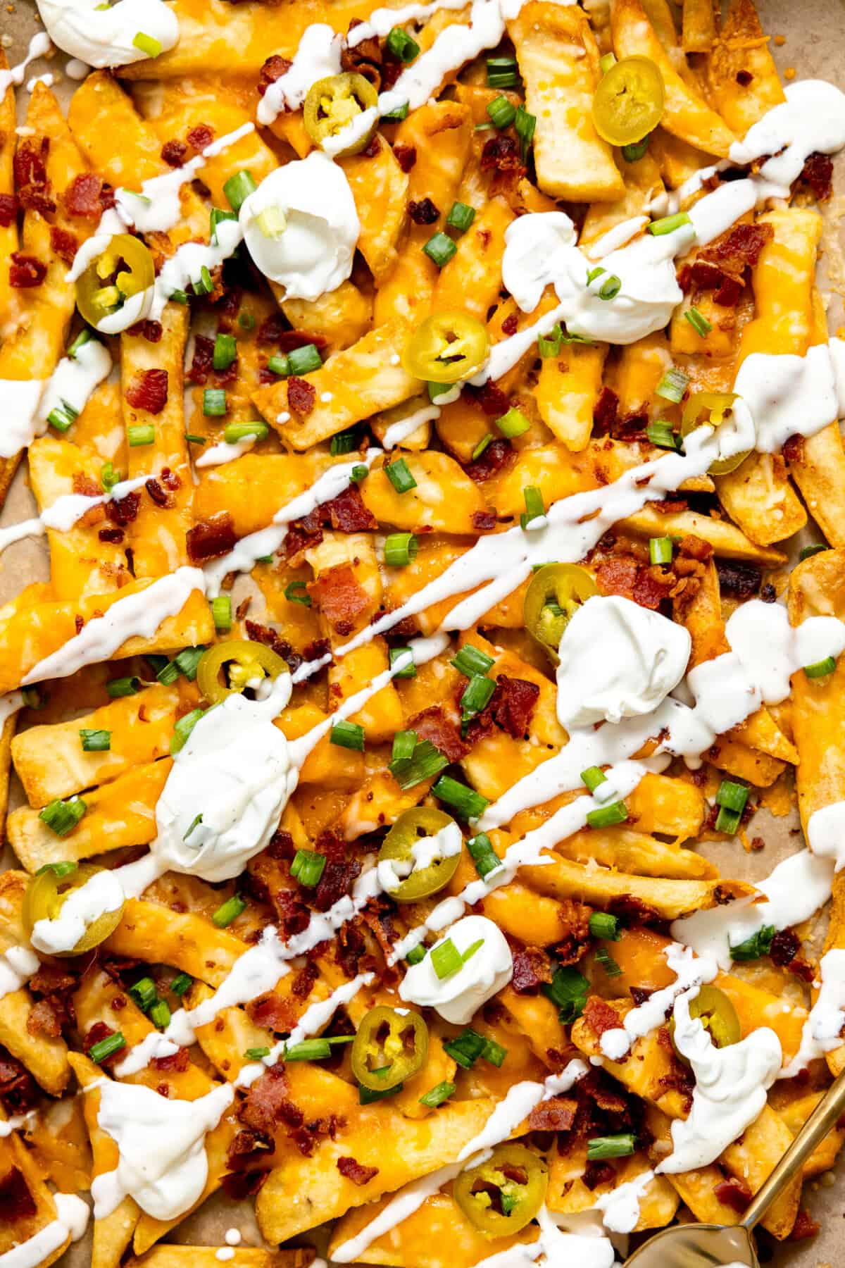 Up close view of golden, crispy French fries loaded with melted cheese, bacon, green onions, dollops of sour cream and a drizzle of ranch on a baking tray.