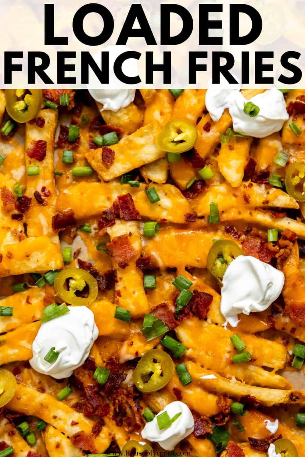 Loaded French fries with text.