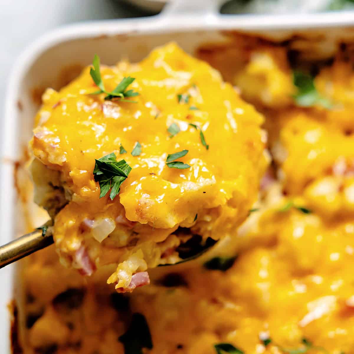 Spoon serving cheesy ham and potato casserole. 