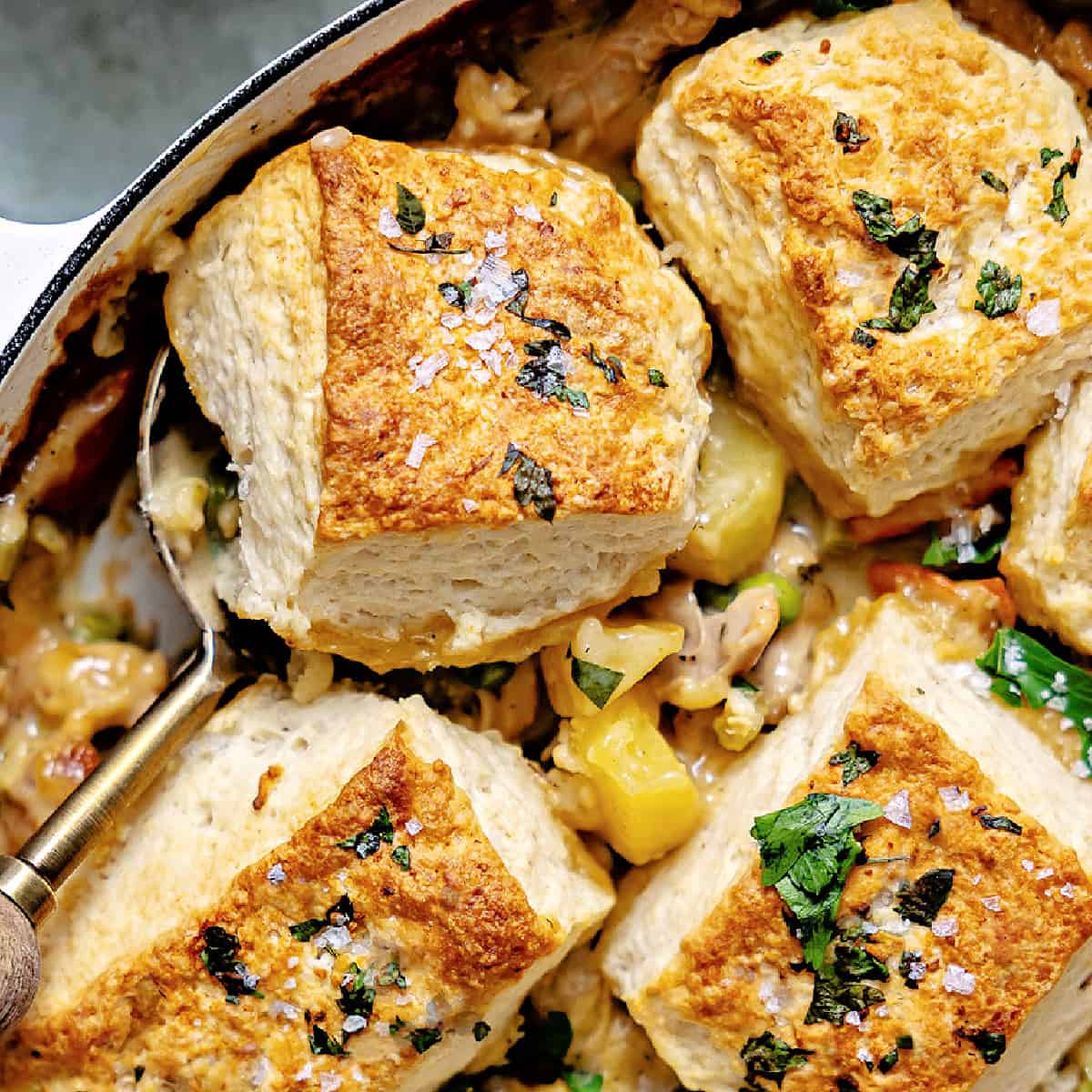 Chicken pot pie after baking and topped with golden biscuits brushed with a herby garlic butter. 