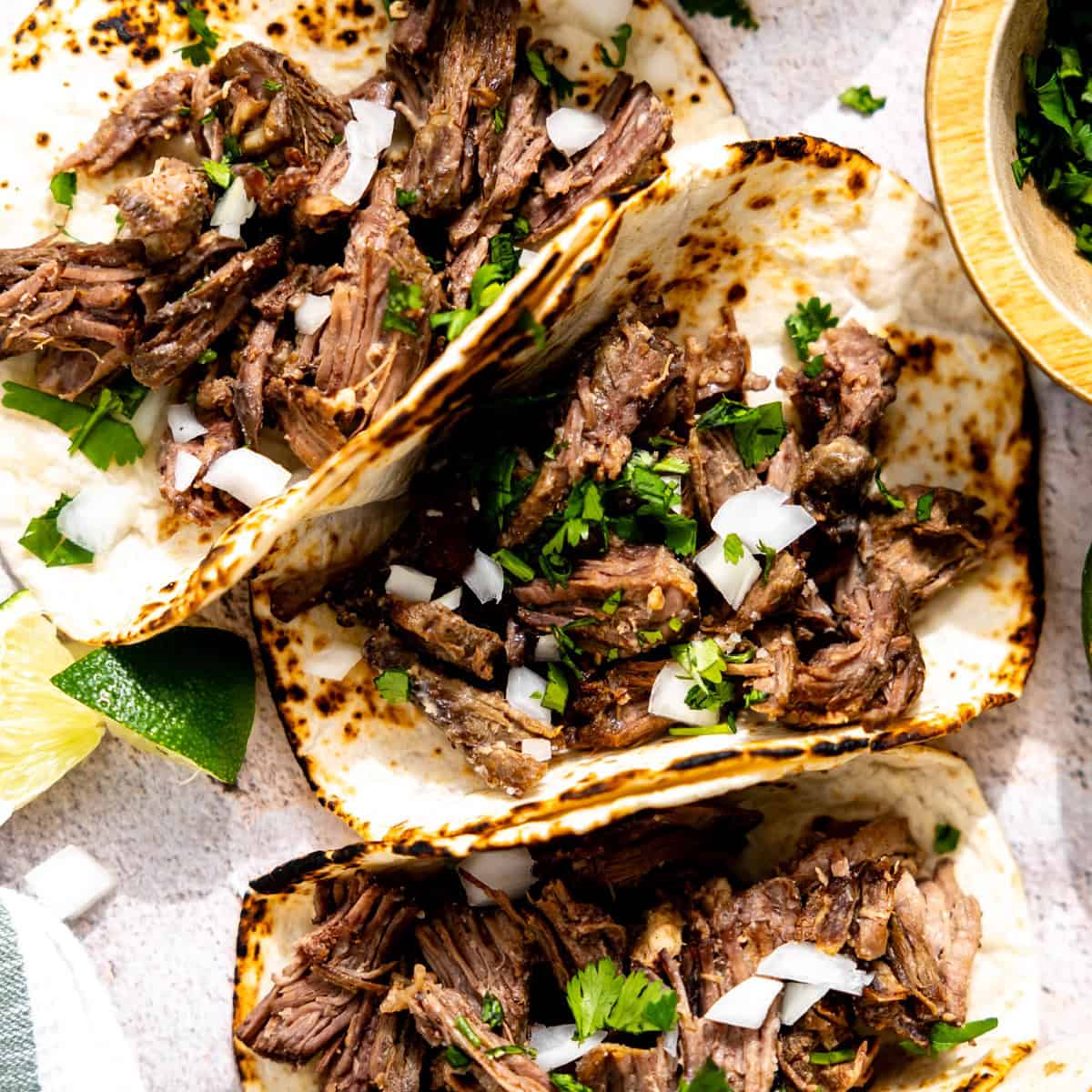 Barbacoa tacos served on corn tortillas. 