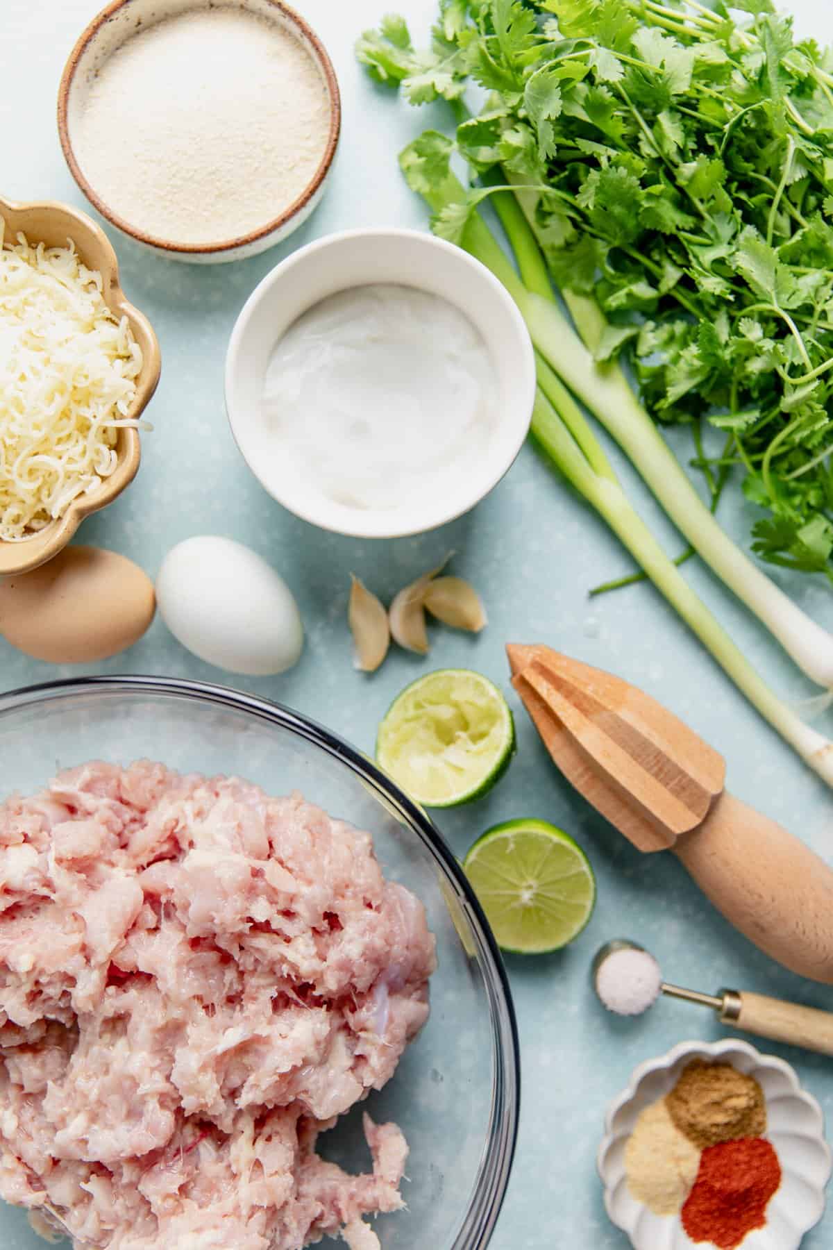 Ingredients needed to make cheesy chicken fritters. 