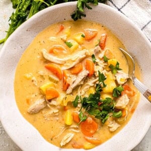 Bowl of chicken stew.