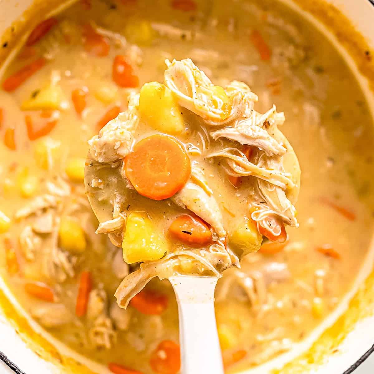 Chicken stew being dished up with a ladle. 