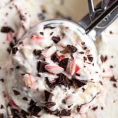 Ice Cream scoop with peppermint bark ice cream.