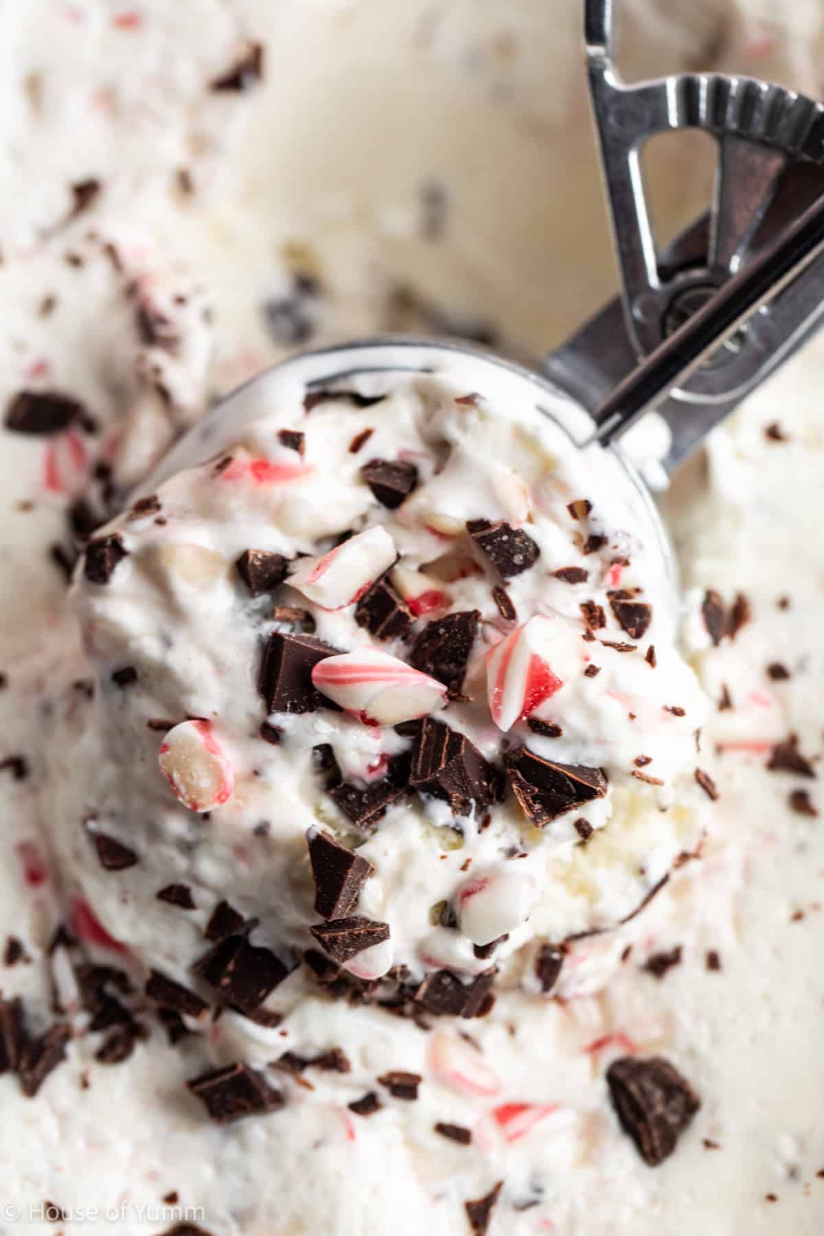 Ice Cream scoop with peppermint ice cream.