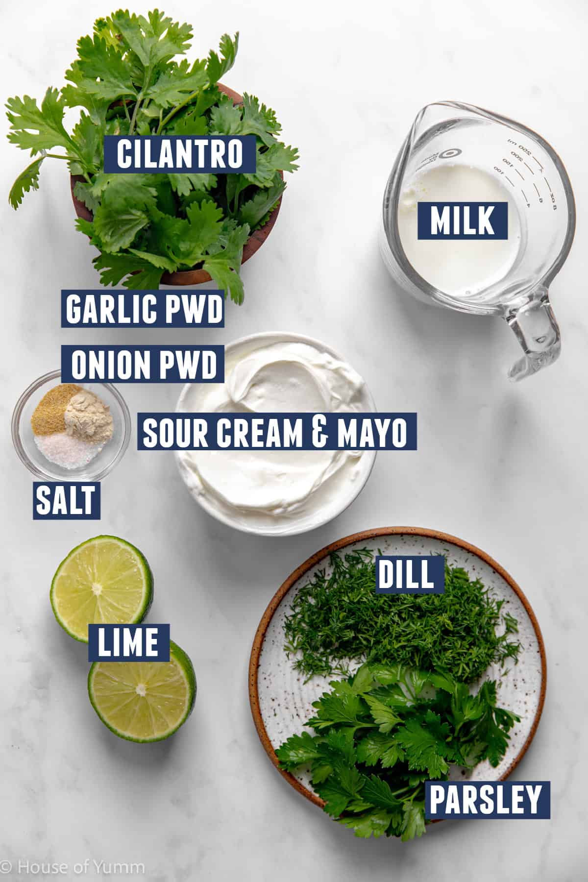 Ingredients needed to make cilantro lime ranch dressing.