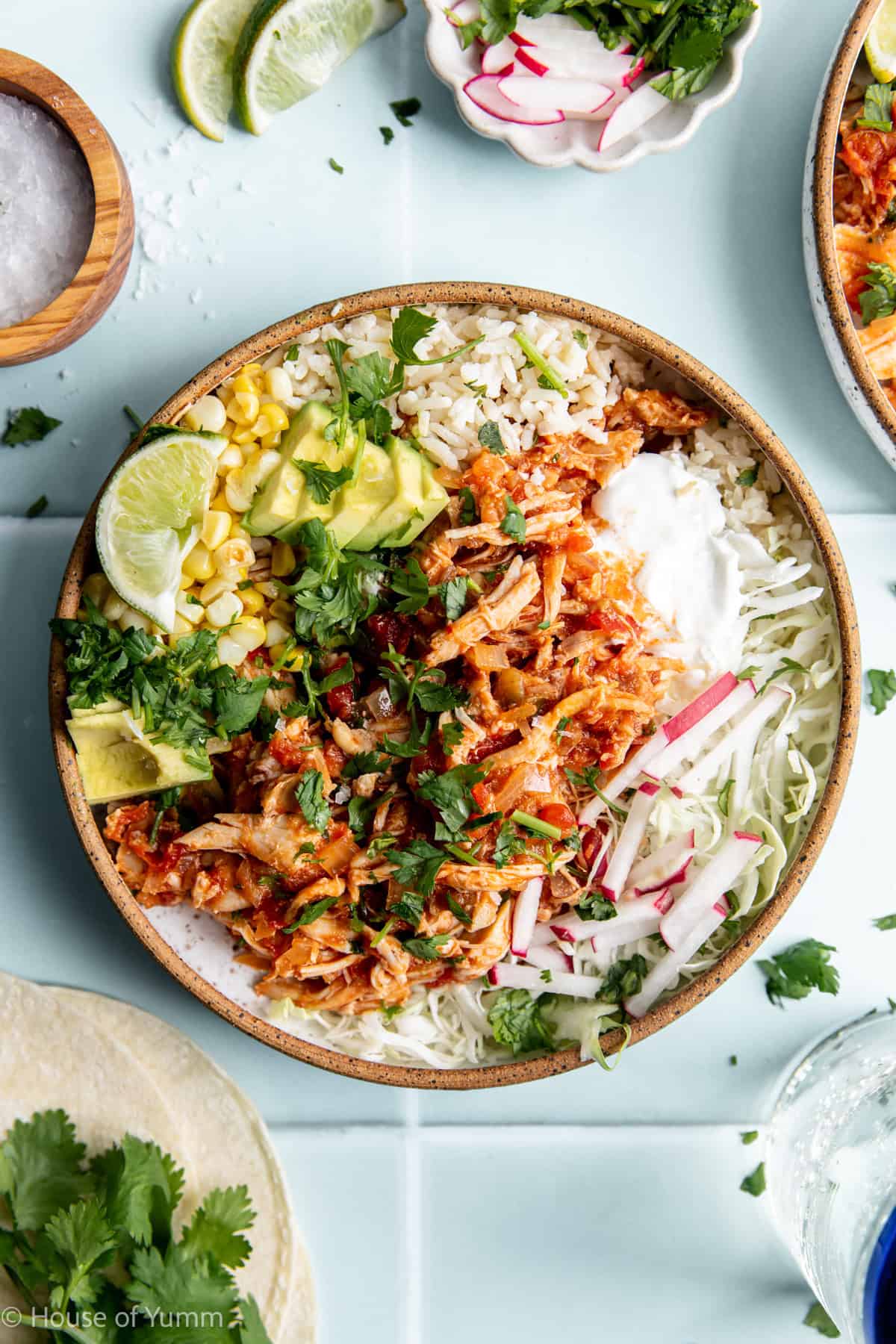 Bowl of Salsa chicken served over rice with cabbage, avocado, corn, and sour cream.