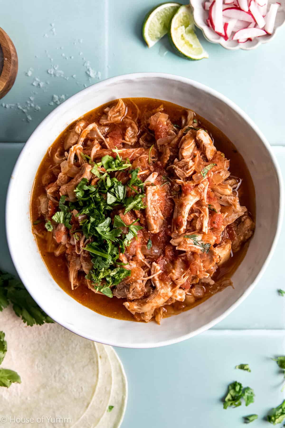 Bowl of salsa chicken topped with fresh cilantro.