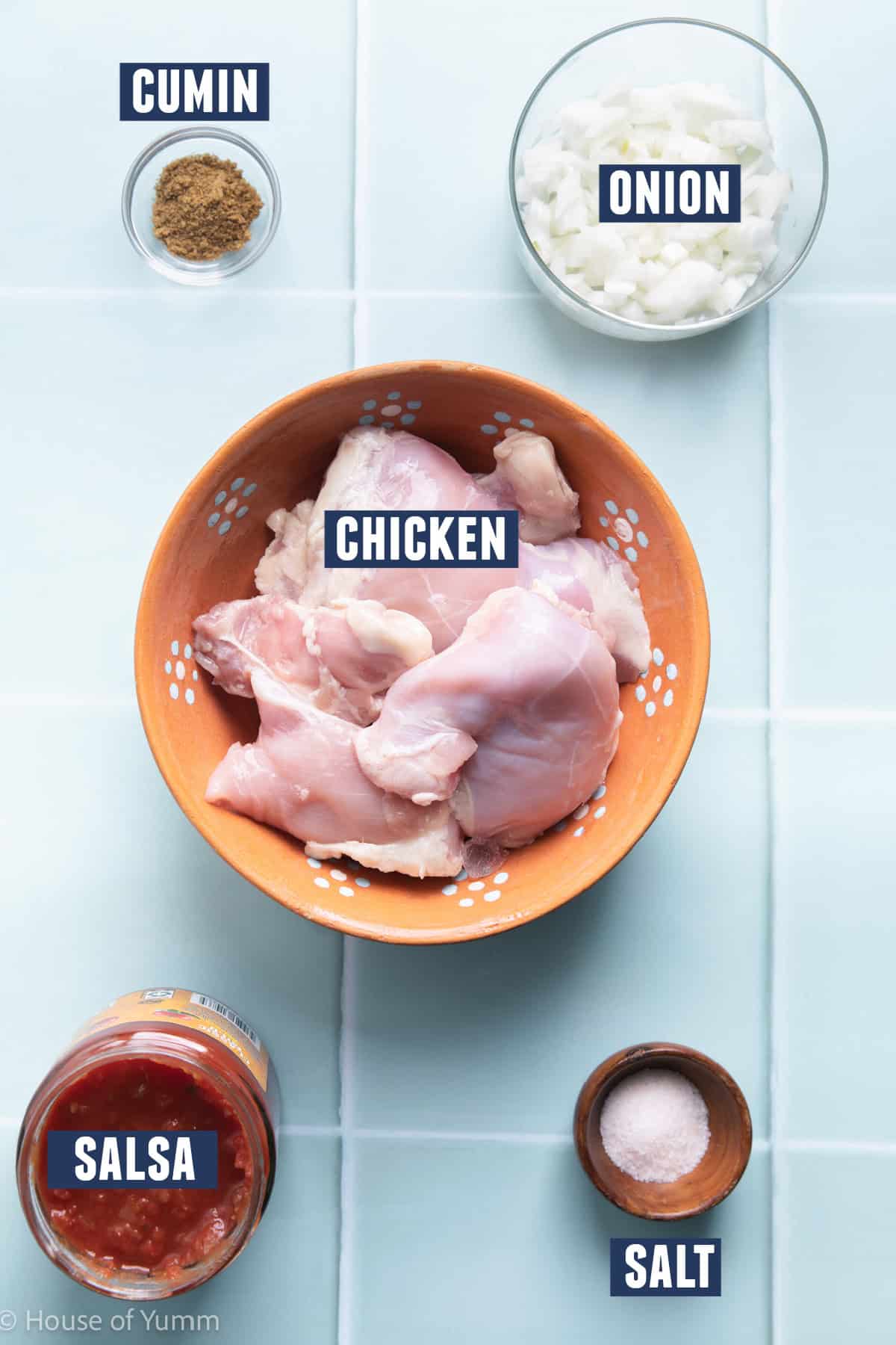 Ingredients needed to make salsa chicken in the slow cooker.