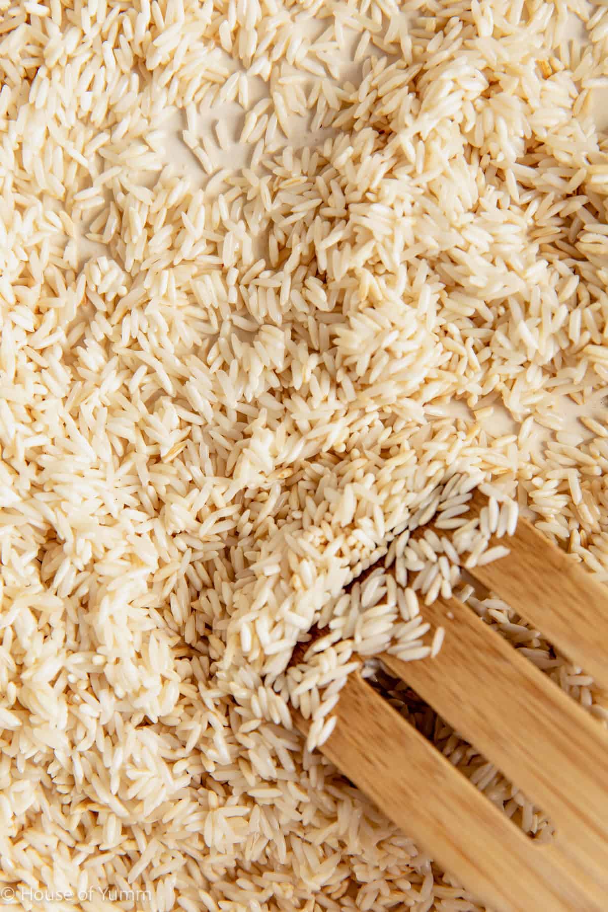 White rice after being toasted in oil.